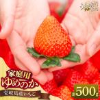 ゆめのか 250g