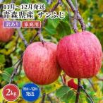 りんご サンふじ 約2kg