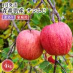 りんご サンふじ 約4kg