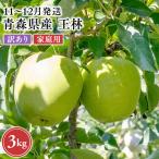 りんご 王林 約3kg