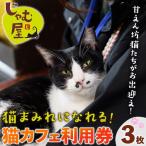 猫まみれになれる猫カフェチケット 3枚