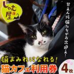 猫まみれになれる猫カフェチケット 4枚