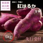 訳あり 紅はるか 生芋 6kg