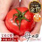 スーパーフルーツトマト 中箱 約1.2kg