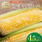 SUNちゃん農園産 ドルチェドリーム4.5kg以上