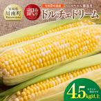 SUNちゃん農園産 ドルチェドリーム4.5kg以上