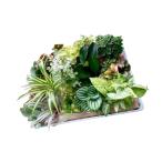 fu.... налог [ время ограничено ]. уезд . культивирование сделал декоративное растение комплект (15 вид )_[G0749] префектура Аичи . уезд город 