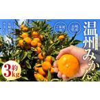 産温州みかん ご 約3kg