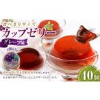 カップゼリー 65g×40個入