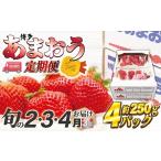いちご 2027年2~ 博多あまおう4パック3回定期便 約1kg×3回