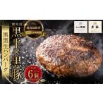 鹿児島黒牛 黒豚 黒黒生ハンバーグ 各3個