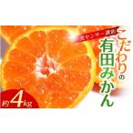 有田みかん 約4kg+150g 傷み補償分