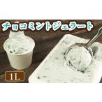 ジェラート イタリアンジェラート チョコミント 1000ml