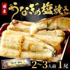 超特大 ふっくら肉厚 うなぎ蒲焼 1尾