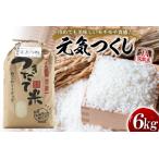 JA筑紫米 元気つくし 6kg