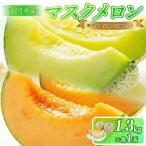 マスクメロン 2玉入