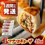 冷凍マグロギョーザ 48個