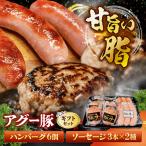 ハンバーグ ソーセージ詰め合わせ BCEO014
