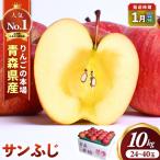 産りんご 12月上旬~ サンふじ 10kg