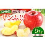 りんご サンふじ 約5kg