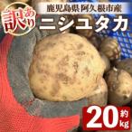 ふるさと納税 ＜先行予約受付中！2026年6月以降順次発送予定＞訳あり！じゃがいも ニシユタカ(20kg) 国産 鹿児島県産 阿久根市産 じゃがいも.. 鹿児島県阿久根市