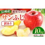 ふるさと納税 【先行予約】※訳あり※ りんご　サンふじ　約10kg　＜2027年1月上旬〜2月上旬発送予定＞　リンゴ｜長野県産｜果物｜くだもの 長野県豊丘村