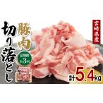 豚肉 切り落とし 定期便 合計5.4kg