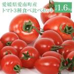 トマト3種食べ比べ アイコ ラブリーさくら