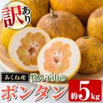 訳あり 竹ん子山のボンタン 約5kg