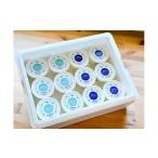 ふるさと納税 放牧牛のしぼりたてミルクアイス広尾12個セット（ミルク＆十勝の塩）(AB0011) 北海道広尾町