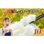 令和7年産 にじのきらめき 10kg