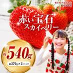 赤い宝石 スカイベリー 約270g×2パック