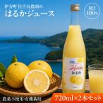 はるかジュース 720ml×2本