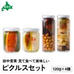 ピクルスセット 120g×4種