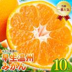 みかん 早生温州みかん 約10kg