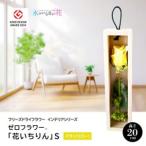 fu.... налог SL0280 вода. нет цветок Zero цветок [ цветок .. rin ] S роза ( желтый ) Yamagata префектура sake рисовое поле город 