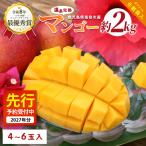 マンゴー 2027年発送 温泉 完熟 約2kg