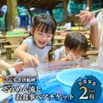 お食事券 いぶすき唐船峡 そうめん流しお食事ペアチケット