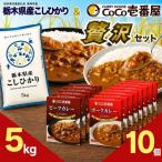 ココイチ ビーフカレー ポークカレー各5個