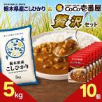 ココイチ ビーフカレー10個 &コシヒカリ5kgの贅沢セット