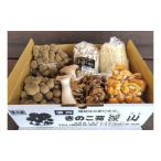 fu.... налог утро .... .6 вид набор Nagano префектура сверху рисовое поле город 