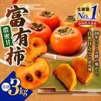 富有柿 約 3kg