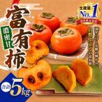 富有柿 約 5kg