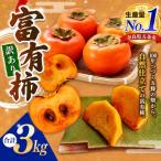 〈訳あり〉 富有柿 約 3kg