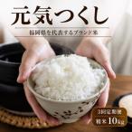 米 元気つくし 10kg