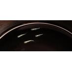 高井田めだかオリジナルめだか タカイダメタル