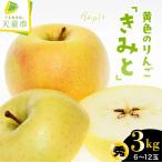 りんご きみと 3kg