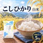 コシヒカリ お米 5kg
