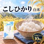 コシヒカリ お米 10kg