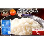 お米 みずかがみ 5kg